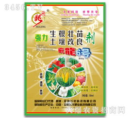 深耕沃土，綠動未來 飛龍肥業(yè)“飛龍6號”強(qiáng)力生根壯苗土壤改良劑研發(fā)記